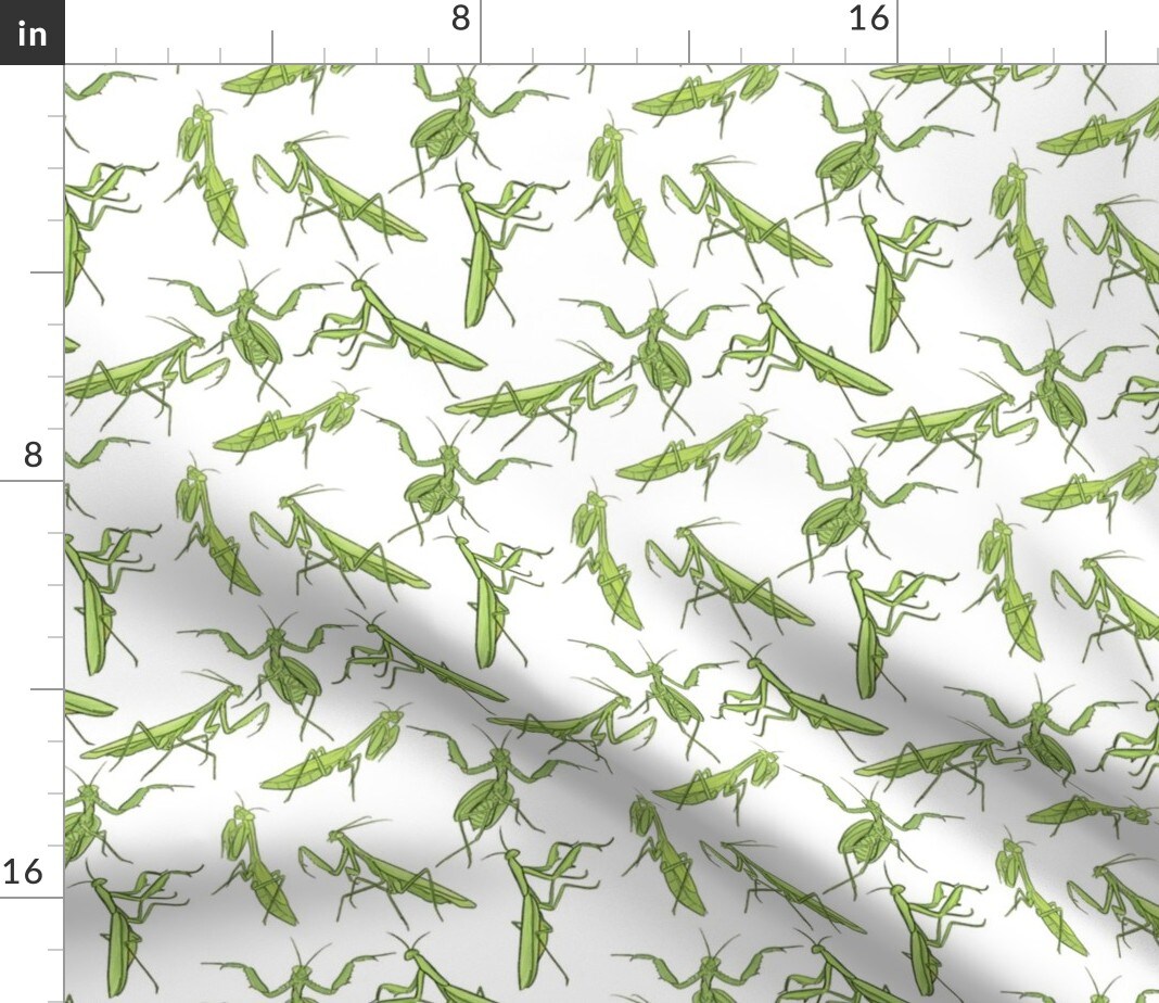 Mantis White Entomology Entomologist Insects Bugs Insect Bug Beetle Custom Printed Fabric by Spoonflower Various Fabrics by the Yard or Fat Quarter