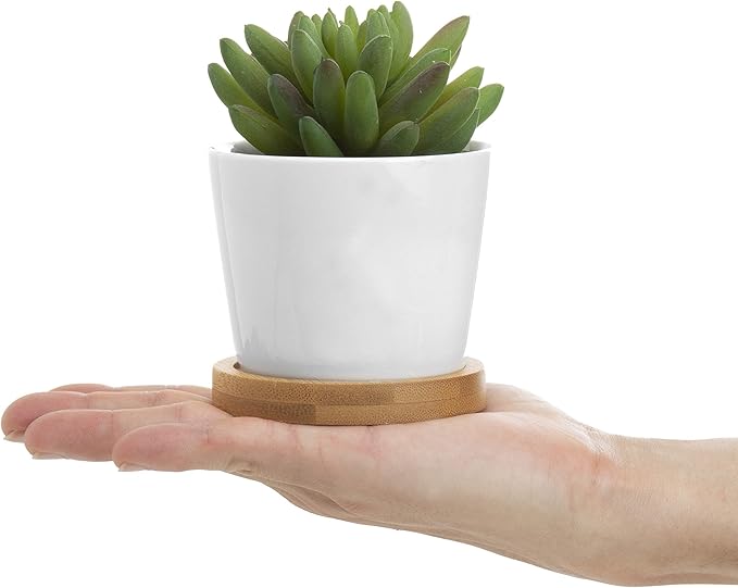 Assorted Artificial Succulent Plants - Decorative Fake Desert Plants with Pebble Fillers in White Ceramic Pots with Bamboo Saucers, Set of 3