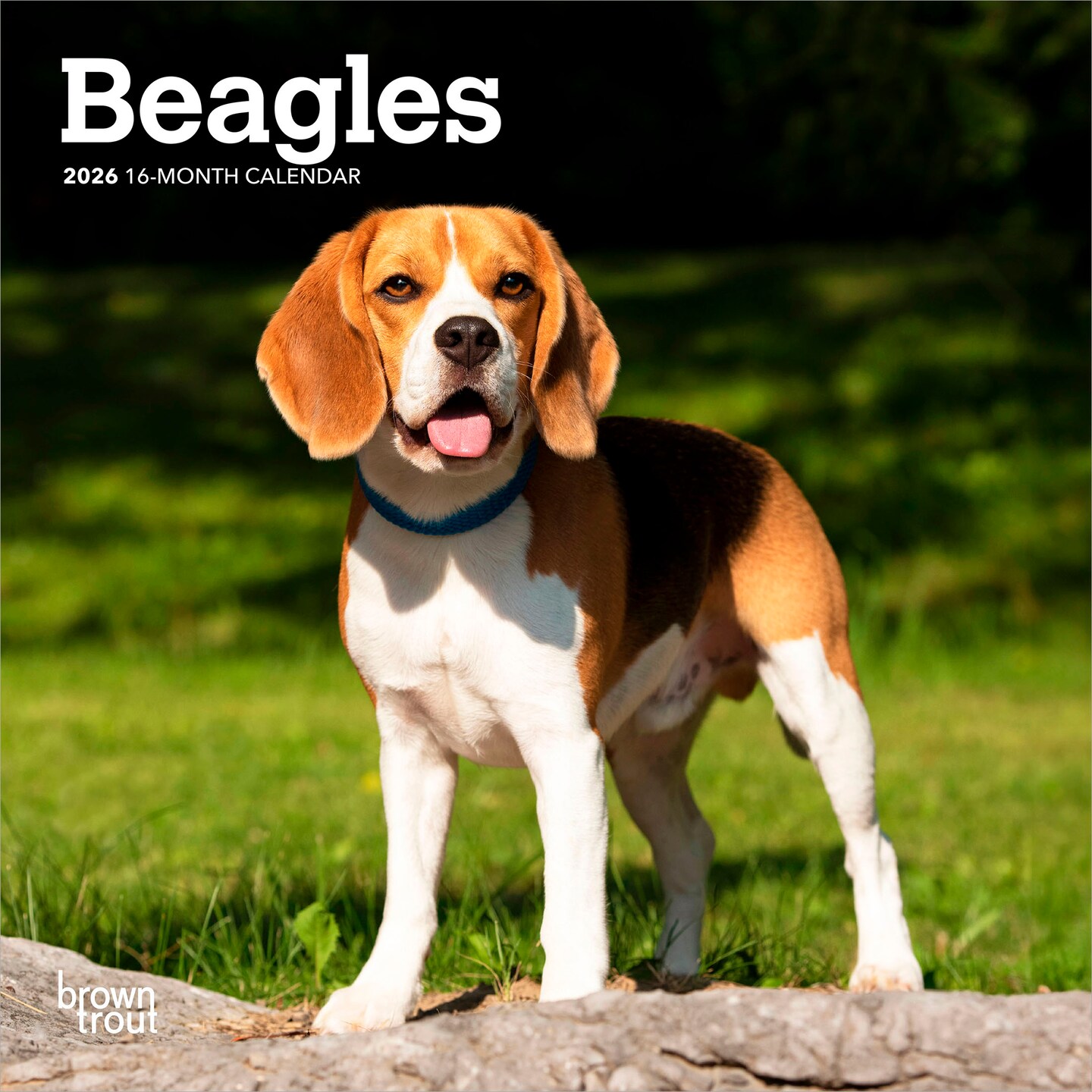 Beagles | 2026 7 x 14 Inch (Hanging) Monthly Mini Wall Calendar