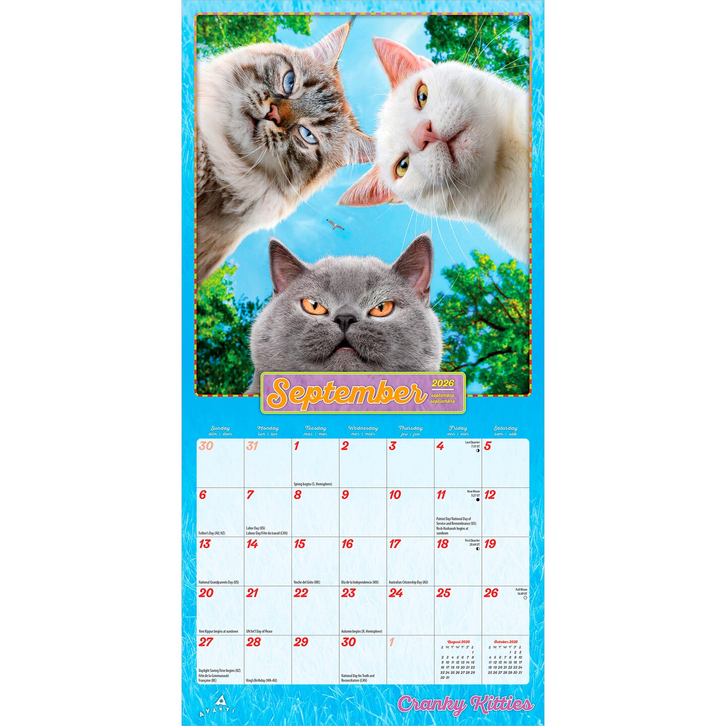 Avanti Cranky Kitties OFFICIAL | 2026 7 x 14 Inch (Hanging) Monthly Mini Wall Calendar