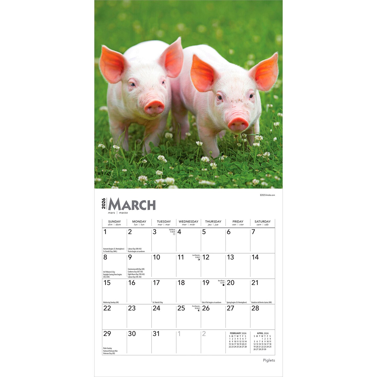 Piglets | 2026 7 x 14 Inch (Hanging) Monthly Mini Wall Calendar