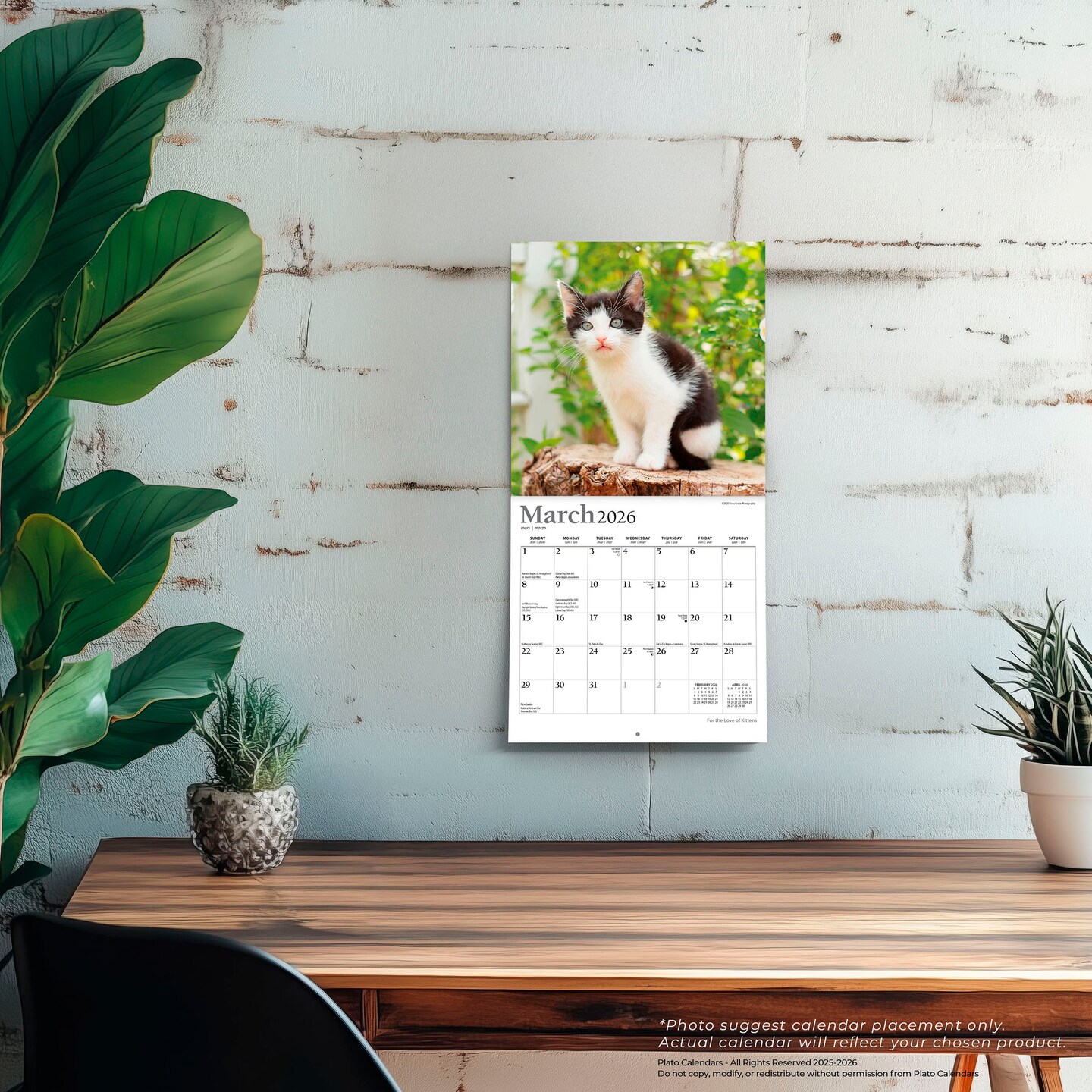 For the Love of Kittens | 2026 7 x 14 Inch (Hanging) Monthly Mini Wall Calendar | Foil Stamped Cover