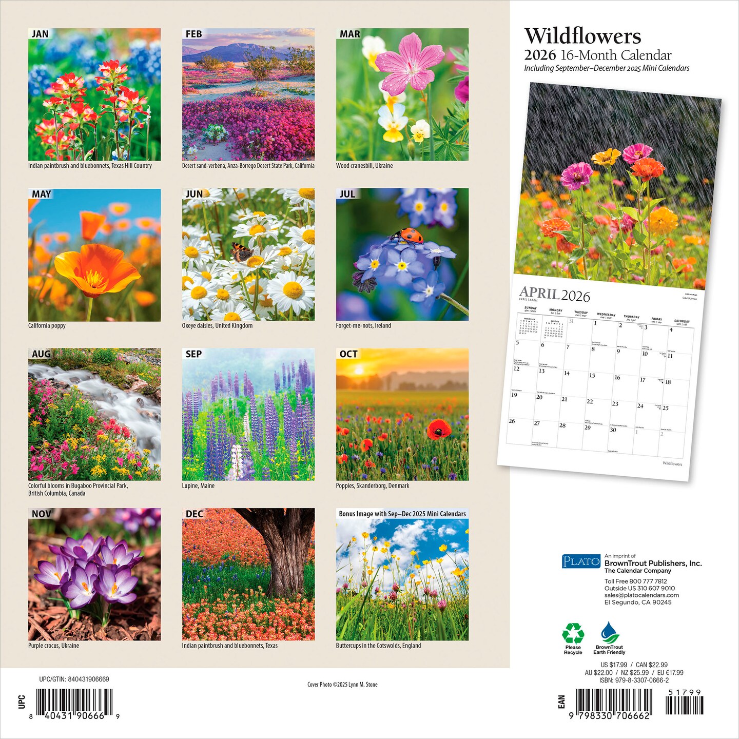 Wildflowers | 2026 12 x 24 Inch (Hanging) Monthly Square Wall Calendar | Foil Stamped Cover