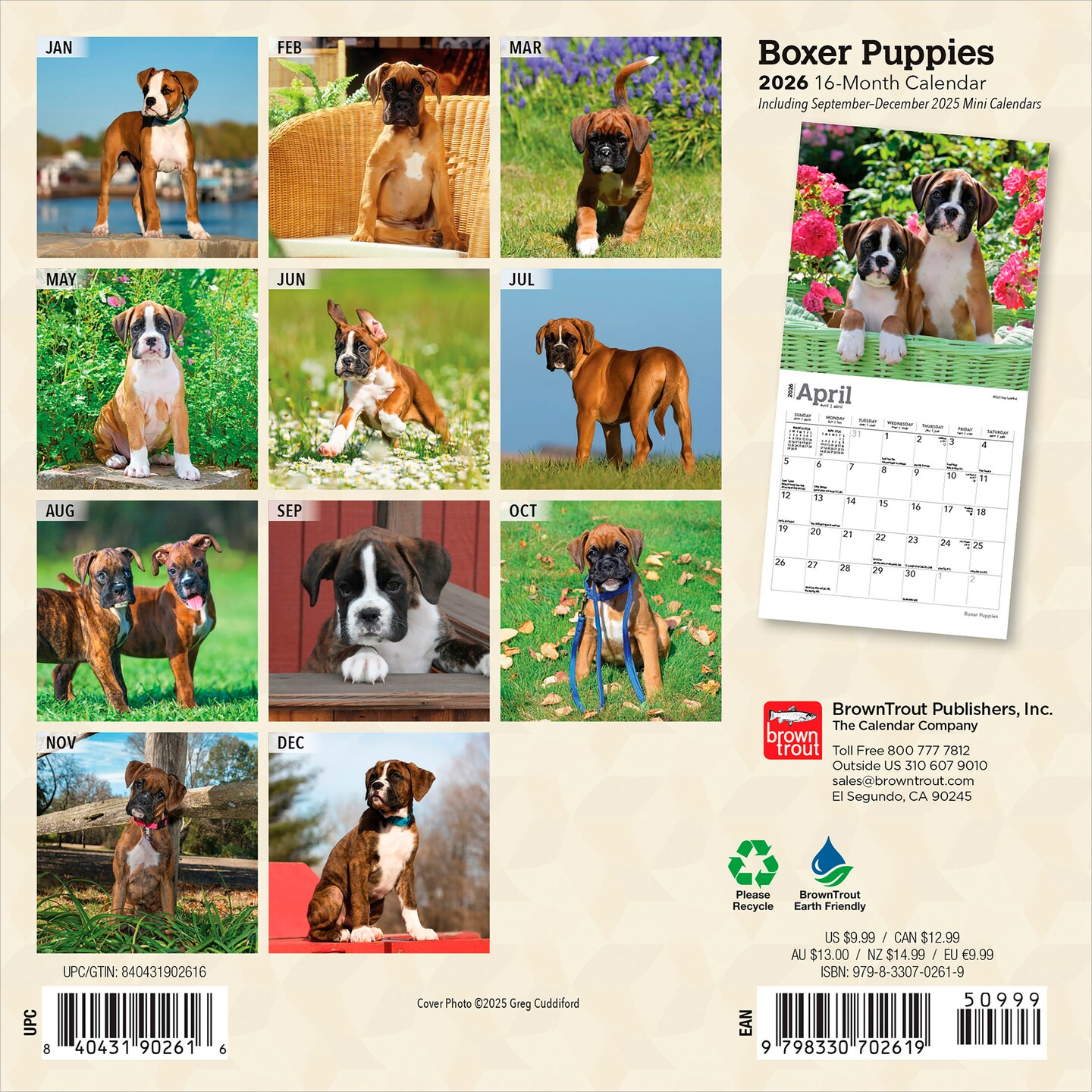 Boxer Puppies | 2026 7 x 14 Inch (Hanging) Monthly Mini Wall Calendar