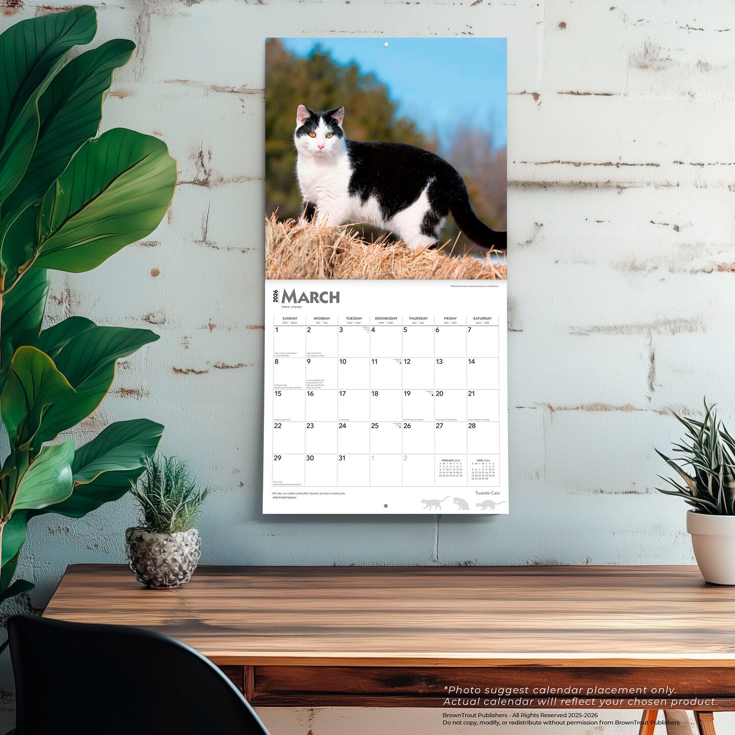 Tuxedo Cats | 2026 12 x 24 Inch (Hanging) Monthly Square Wall Calendar | Plastic-Free