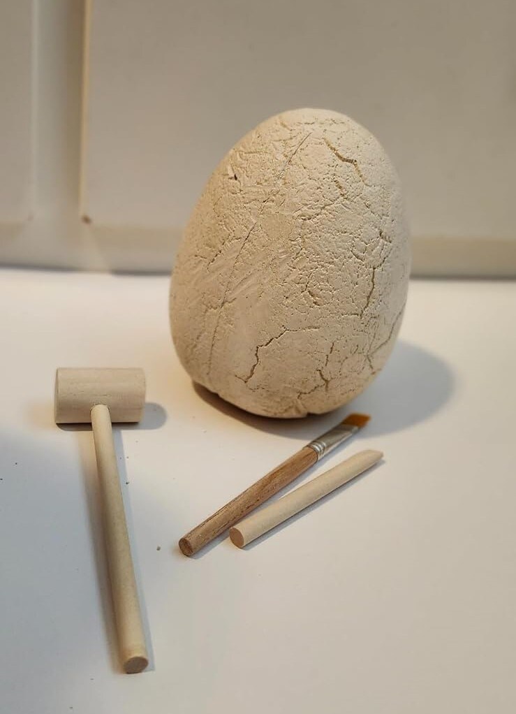 Jumbo Dinosaur Egg Dig Kit Educational Science Toys for Kids 14 Dinosaurs Excavation Kit Dinosaur Collection Gifts for Boys Girls