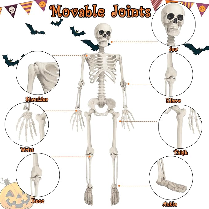 3 FT Halloween Skeleton - 36&#x201D;Tall Full Body Halloween Skeleton with Movable Joints for Haunted House Graveyard Indoor and Outdoor Decor/Halloween Decoration