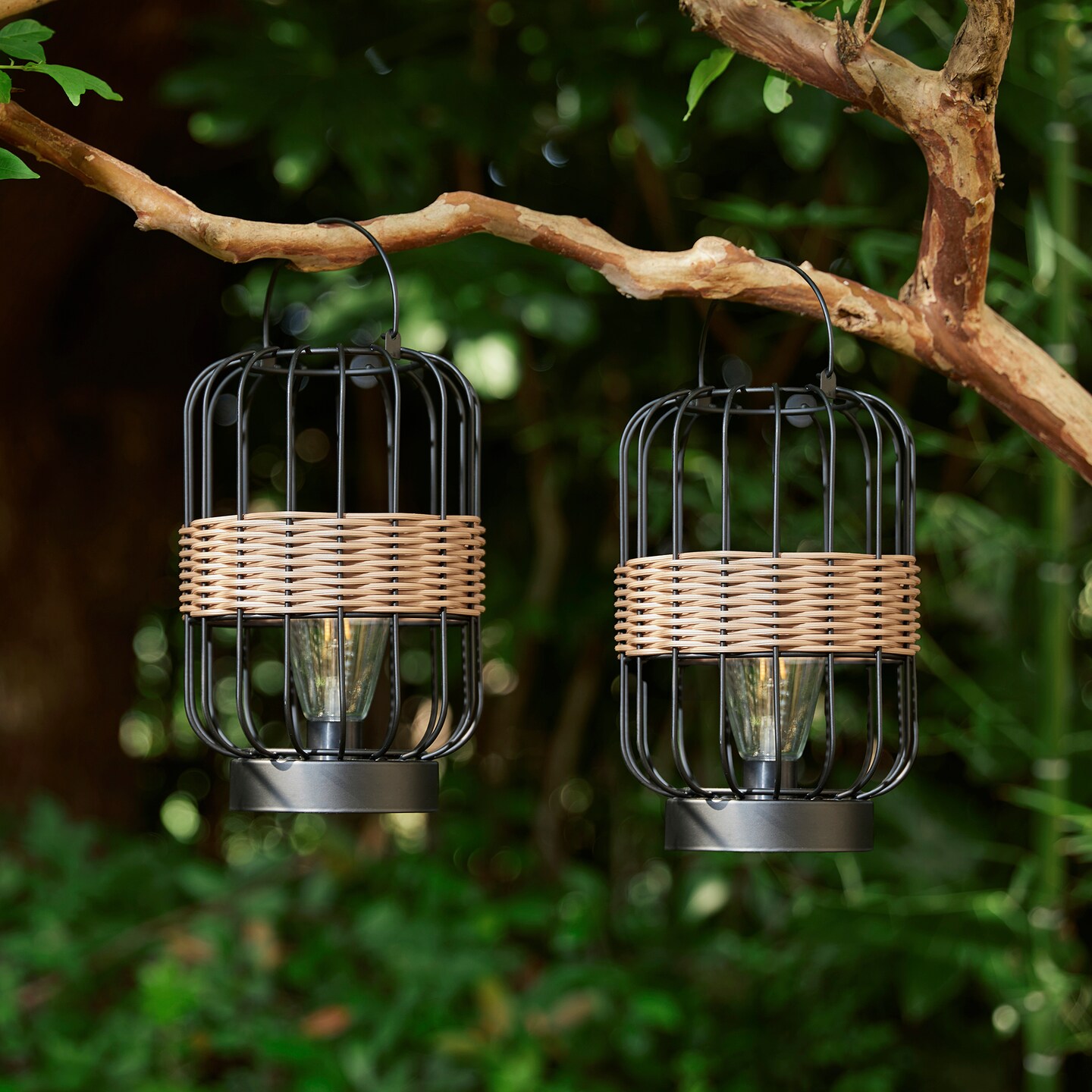 Set of 2 11.75"H Metal Wire Faux Rattan Solar Powered Outdoor Lantern with Edison Bulb and Handle