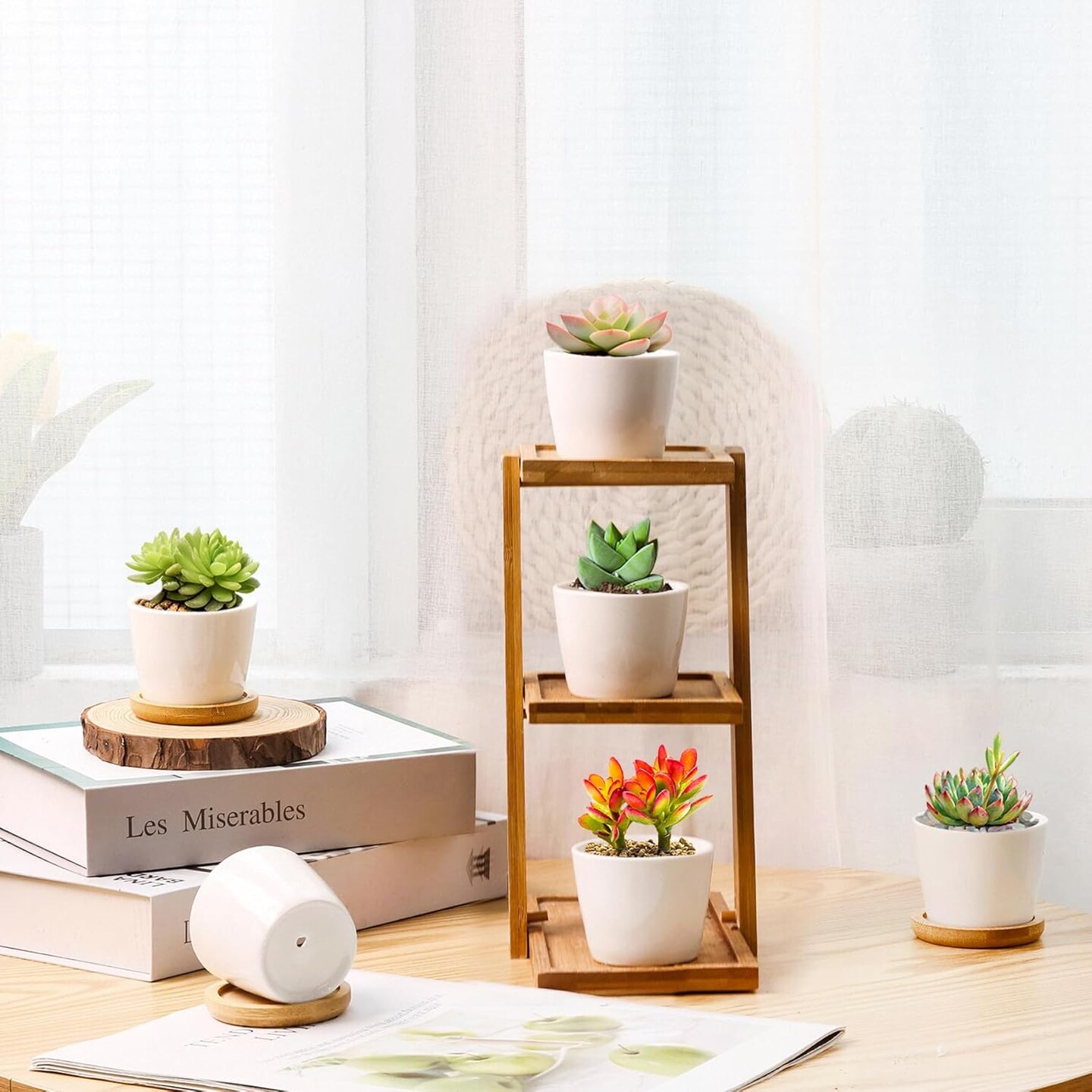 Set of 6 Mini 2.5 Inch White Ceramic Succulent Pots with Bamboo Tray – Round Small Planters for Cactus, Succulents, Air Plants, Desk, Home & Office Decor