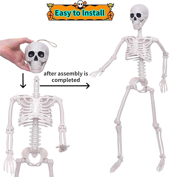 3Ft Halloween Skeleton and 16In Life Size Skeleton Creepy Posable Skeleton Full Size Skeleton with Movable Joints for Outdoor Indoor Halloween Decorations