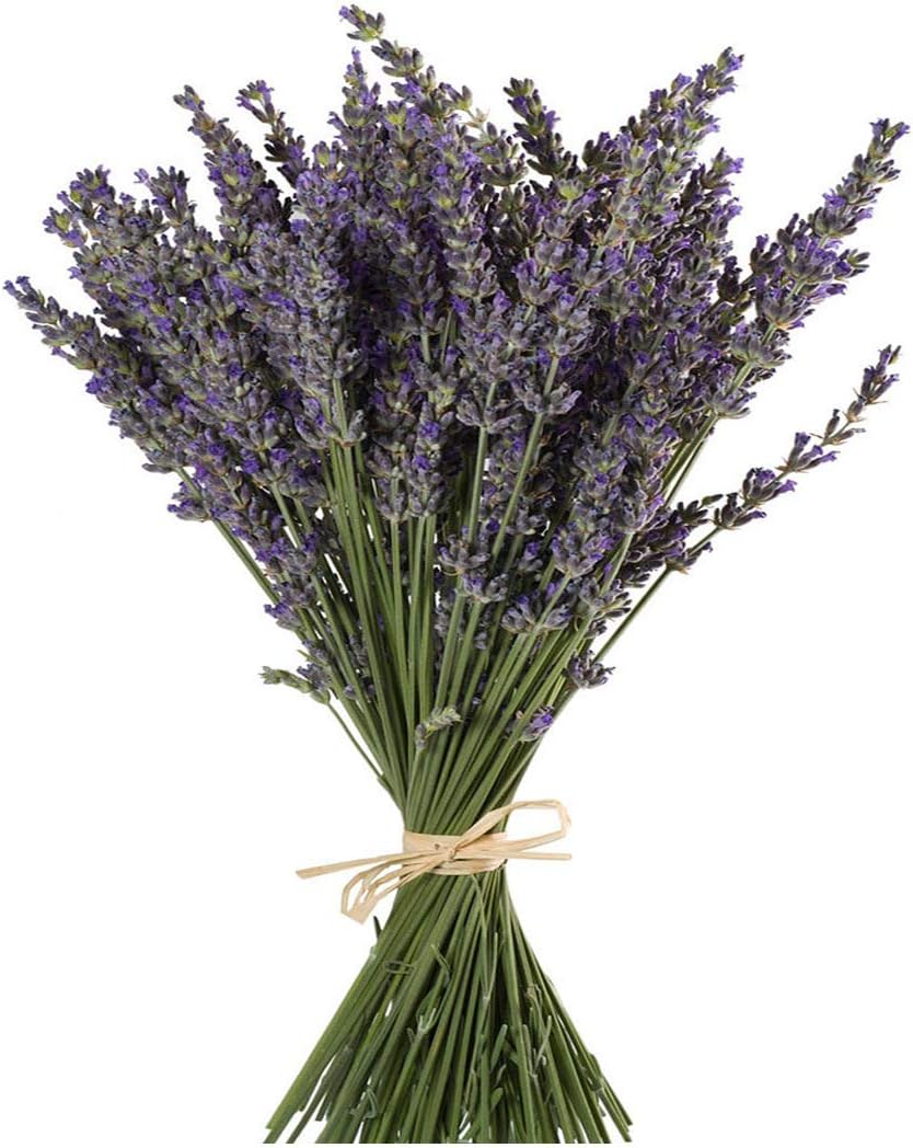 Natural Lavender Bundles, Freshly Harvested 400+ Stems Dried Lavender Bunch 16&#x22; - 18&#x22; Long, Decorative Flowers Bouquet for Home Decor, Crafts, Gift, Wedding or Any Occasion