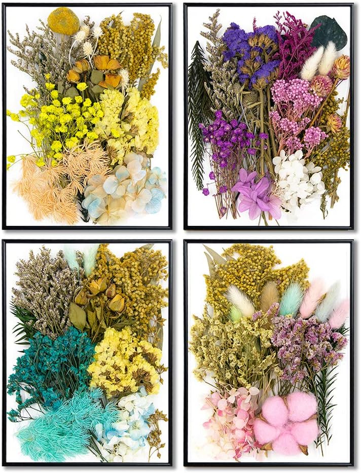Dried Pressed Leaf Flowers-Multiple Colorful Pressed Flowers Daisies for Craft Resin Jewelry Making Art Craft DIY(Violet)