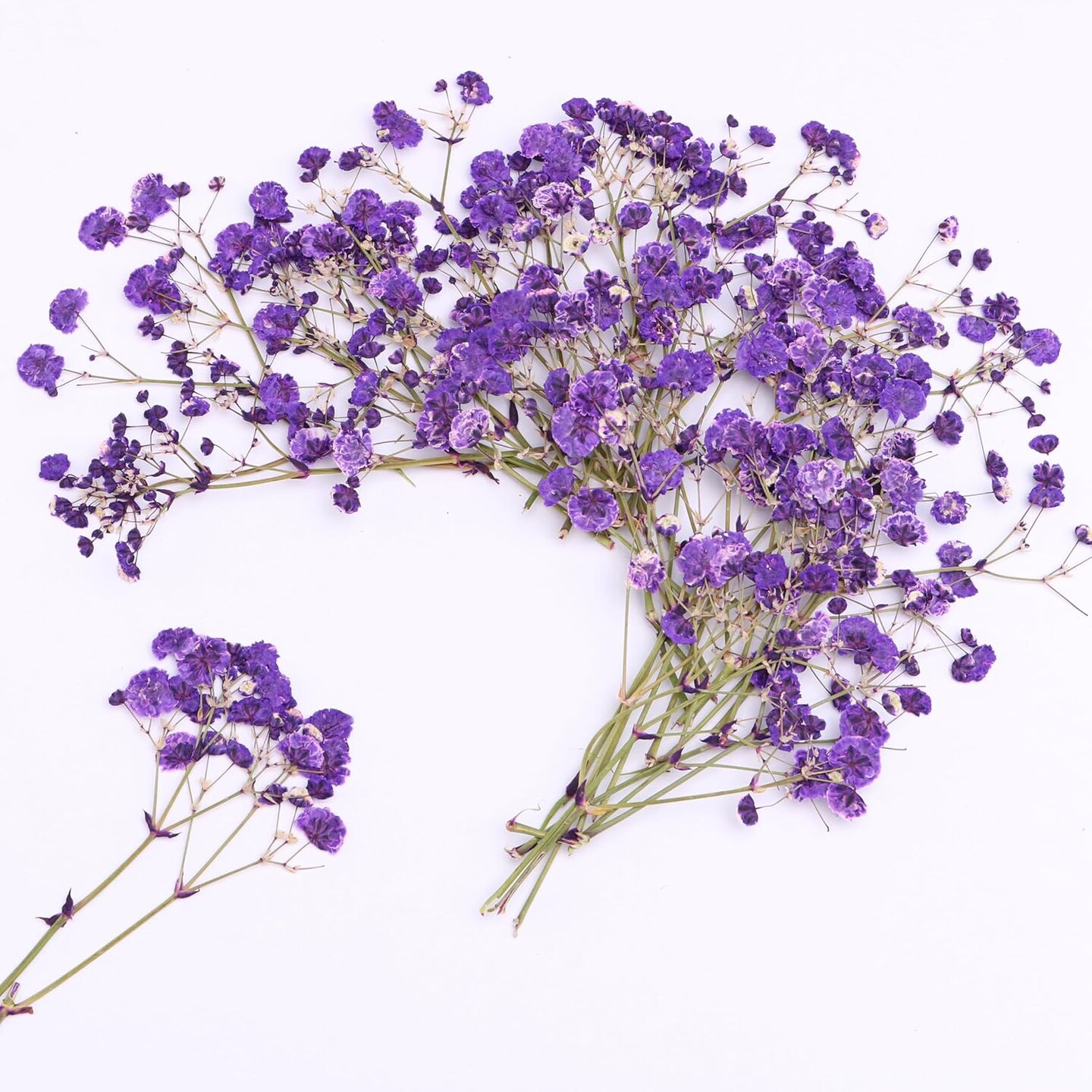30 Branches Purple Pressed Flowers Bulk Dried Flower Kit for Resin , Dried Babys Breath Flower Natural