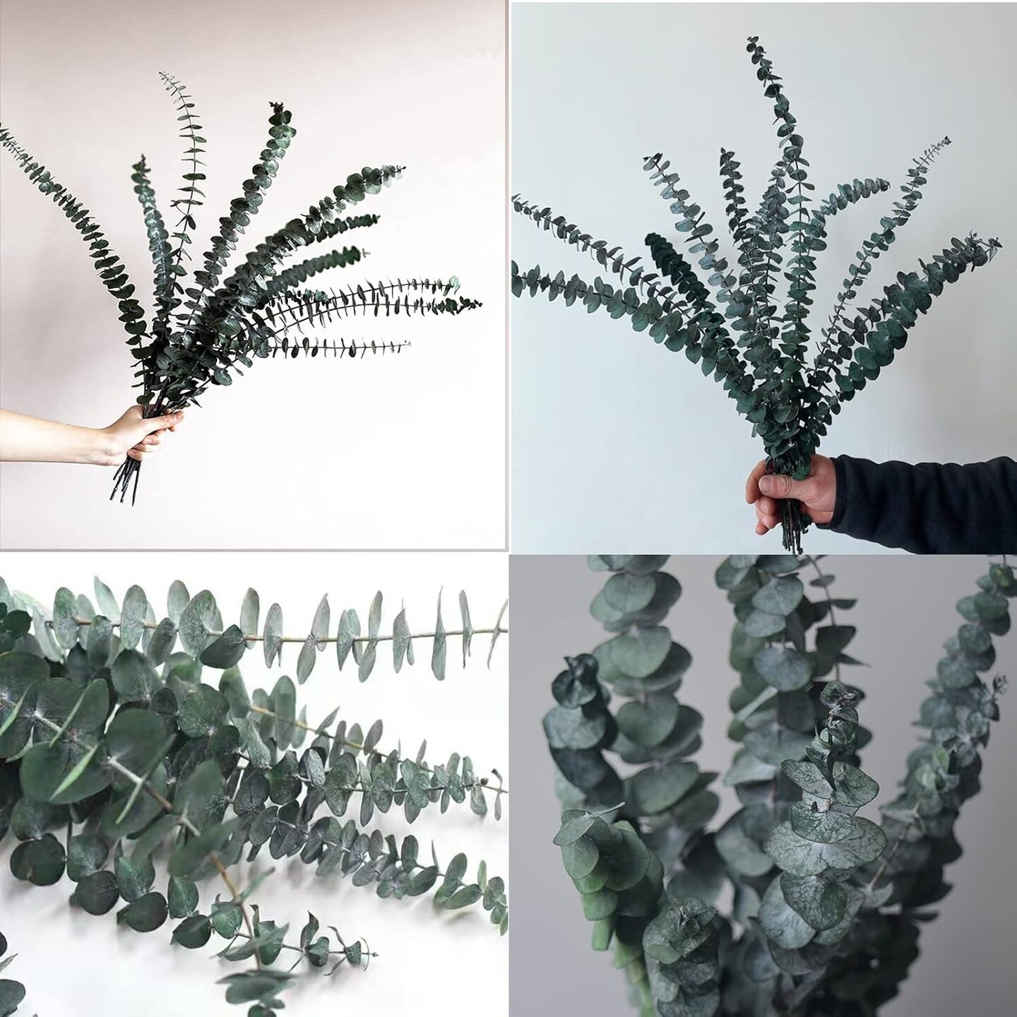 10 Pack Natural Dried Eucalyptus Bundle,17 inch/45cm Preserved Fresh Eucalyptus Branches Greenery Plants