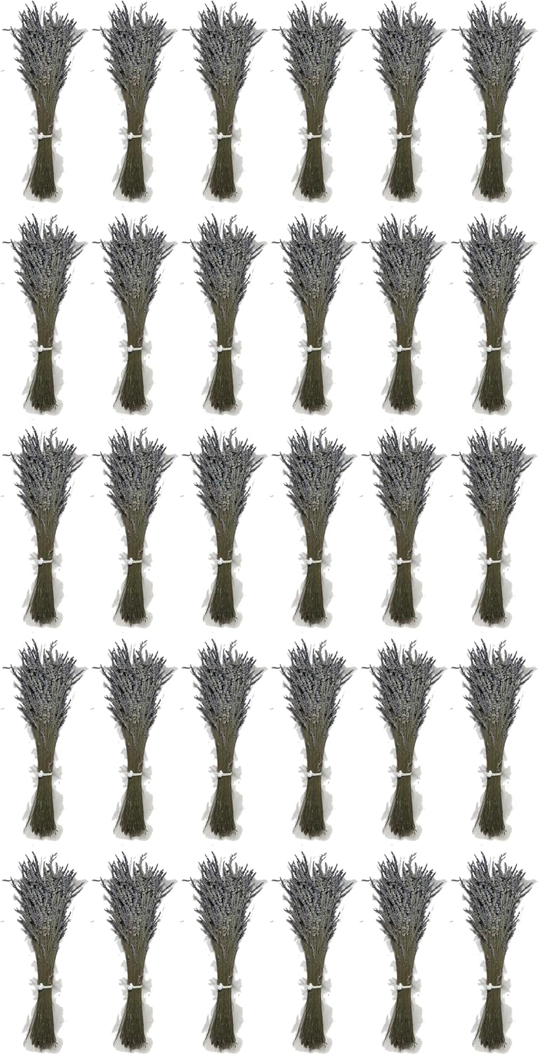 Natural Dried Lavender Flower Bundle Grosso Bulk Bunches | 3000 Stems, 23 inch Extra Long, 8 lb | Home Decoration, Fragrance, Bouquet Weddin