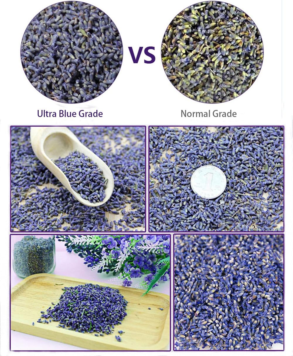 Fragrant Lavender Buds Natural Dried Flowers Wholesale, Ultra Blue Grade - 1/2 Pound