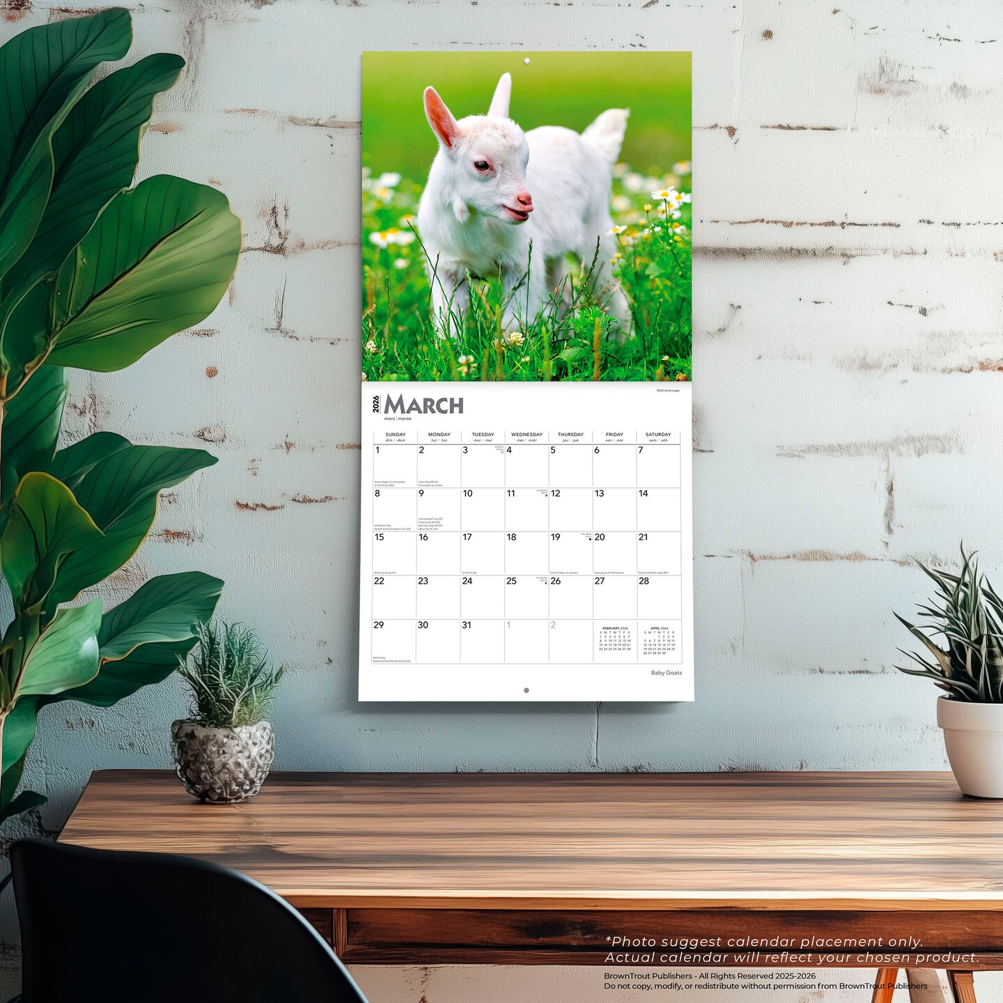 Baby Goats | 2026 12 x 24 Inch (Hanging) Monthly Square Wall Calendar | Plastic-Free | BrownTrout | Domestic Animals