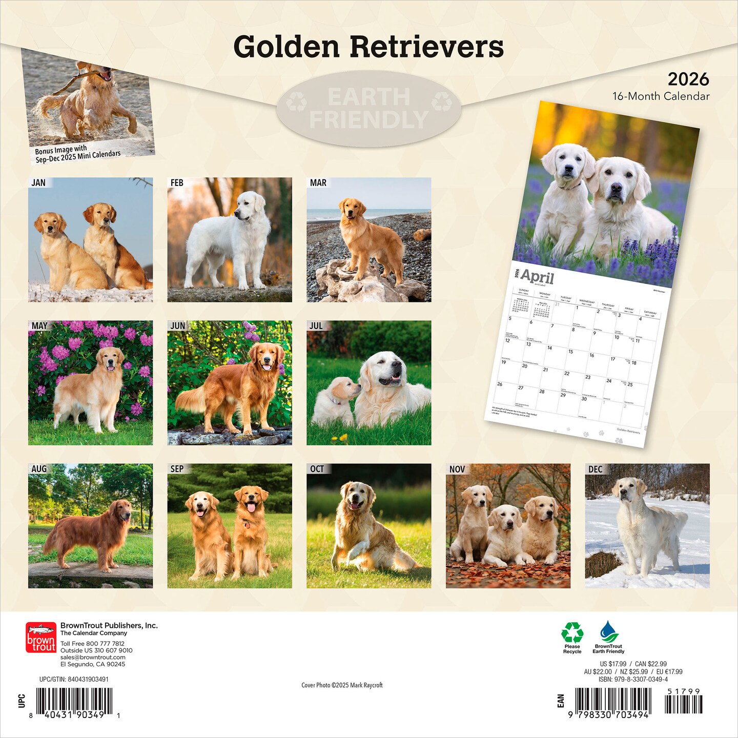 Golden Retrievers | 2026 12 x 24 Inch (Hanging) Monthly Square Wall Calendar | Foil Stamped Cover | Plastic-Free | BrownTrout | Animals Dog Breeds Retriever