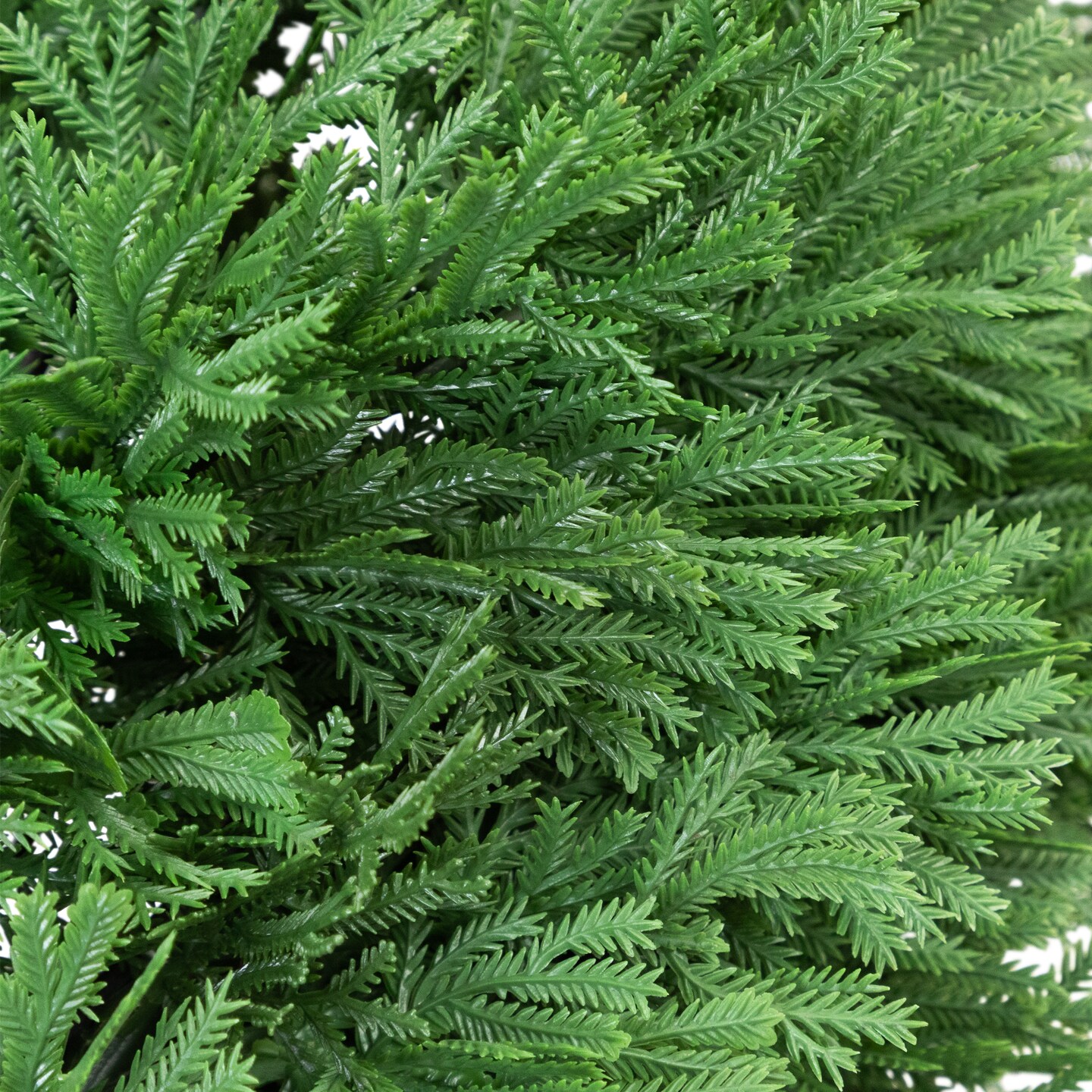 Northlight Cedar Spiral Topiary Tree - Thumbnail 4