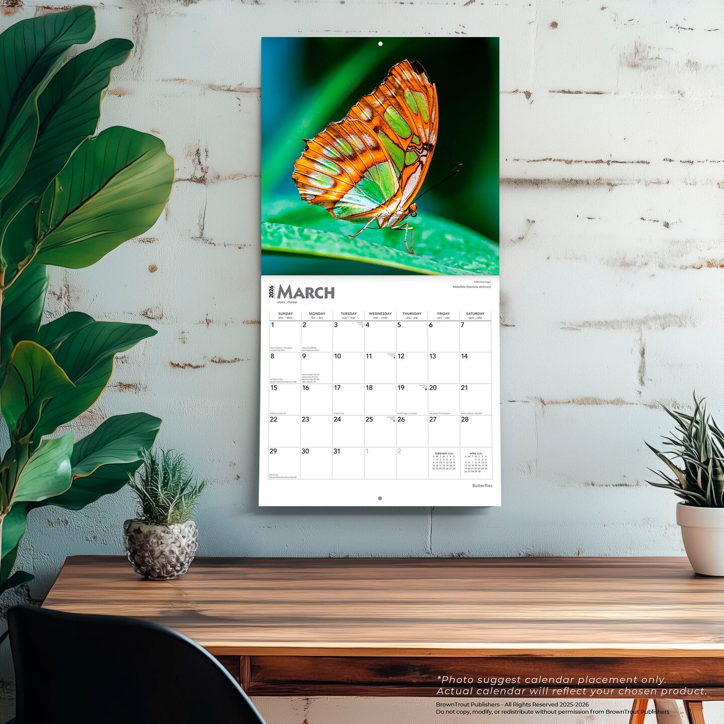 Butterflies | 2026 12 x 24 Inch (Hanging) Monthly Square Wall Calendar | Plastic-Free