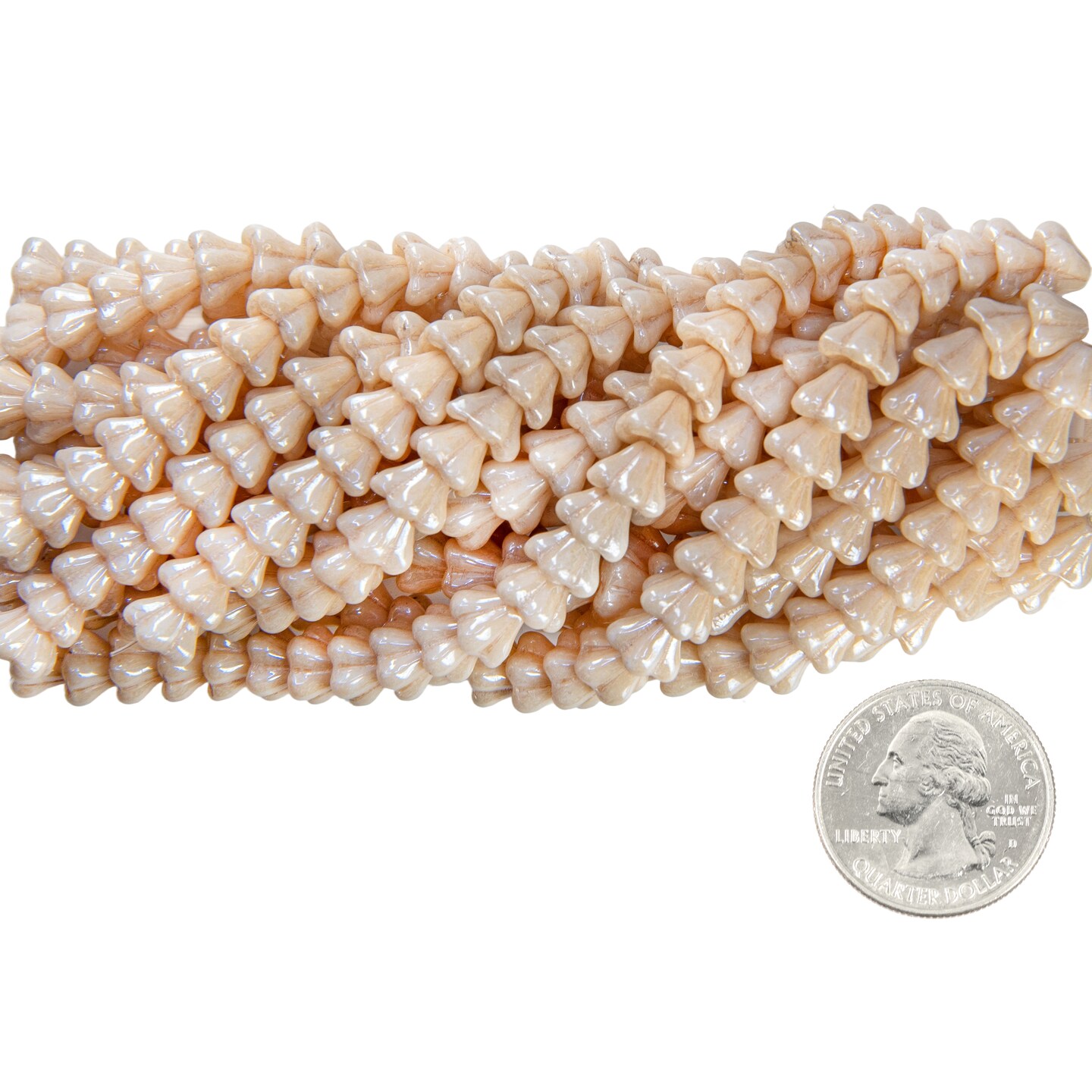 8x6mm Opaque Champagne Glass Bell Flower Beads One Strand apx 25 beads GB-FB35