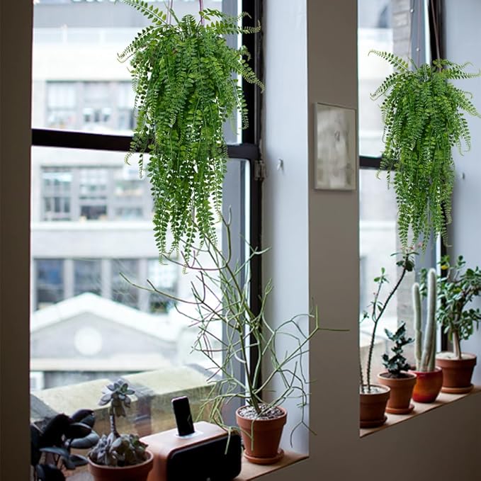 6 Pcs Artificial Hanging Ferns Plants Fake Hanging Plants Fake Ivy Boston Ferns Vine Outdoor Indoor Home Décor UV Resistant Plastic Plants (Green)