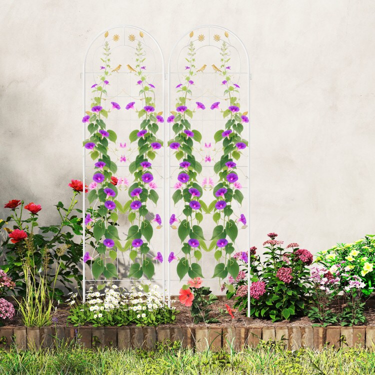 Galvanized Steel Garden Trellis 71 Inch 2 Pack Climbing Support