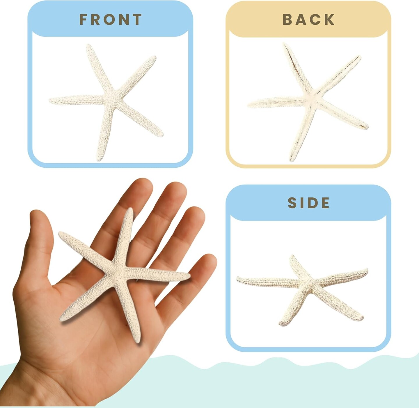 Starfish Decor - Star Fish for Craft - 6pk Real 3-4&#x22; White Sea Stars - Beach Wedding Decor - Coastal Party Decorations - Seashell Decor