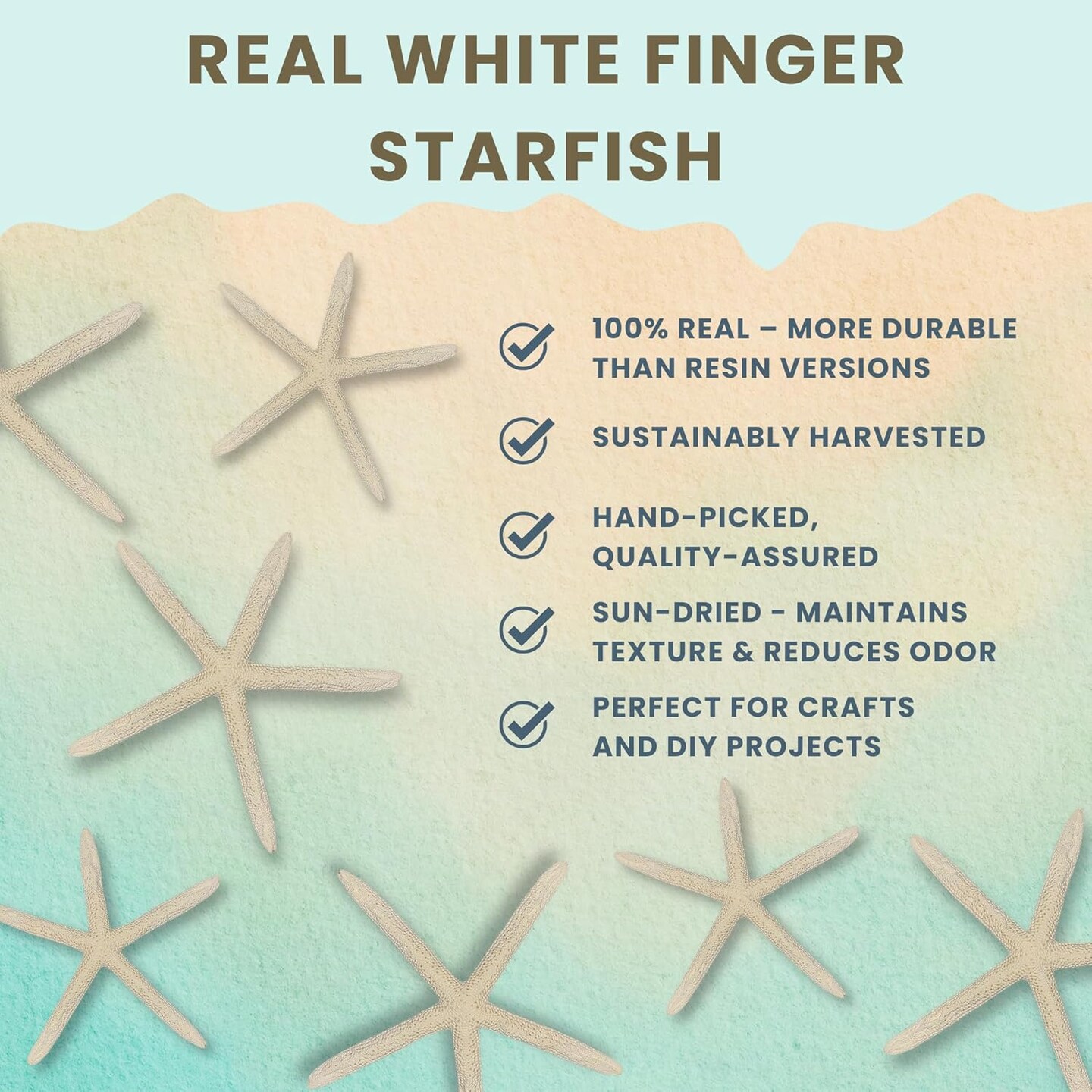 Starfish Decor - Star Fish for Craft - 6pk Real 3-4&#x22; White Sea Stars - Beach Wedding Decor - Coastal Party Decorations - Seashell Decor