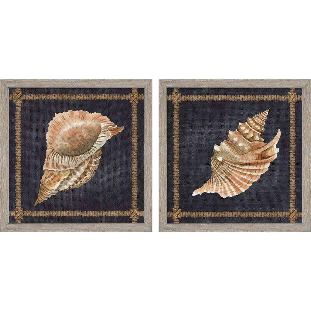 Seashell on Navy by Cindy Jacobs, 2 Piece Rustic White Framed Art Set