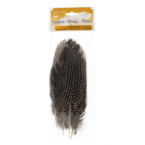 John Bead 6-9in Guinea Fowl Quill Feathers, 3 Headers (10ct.)