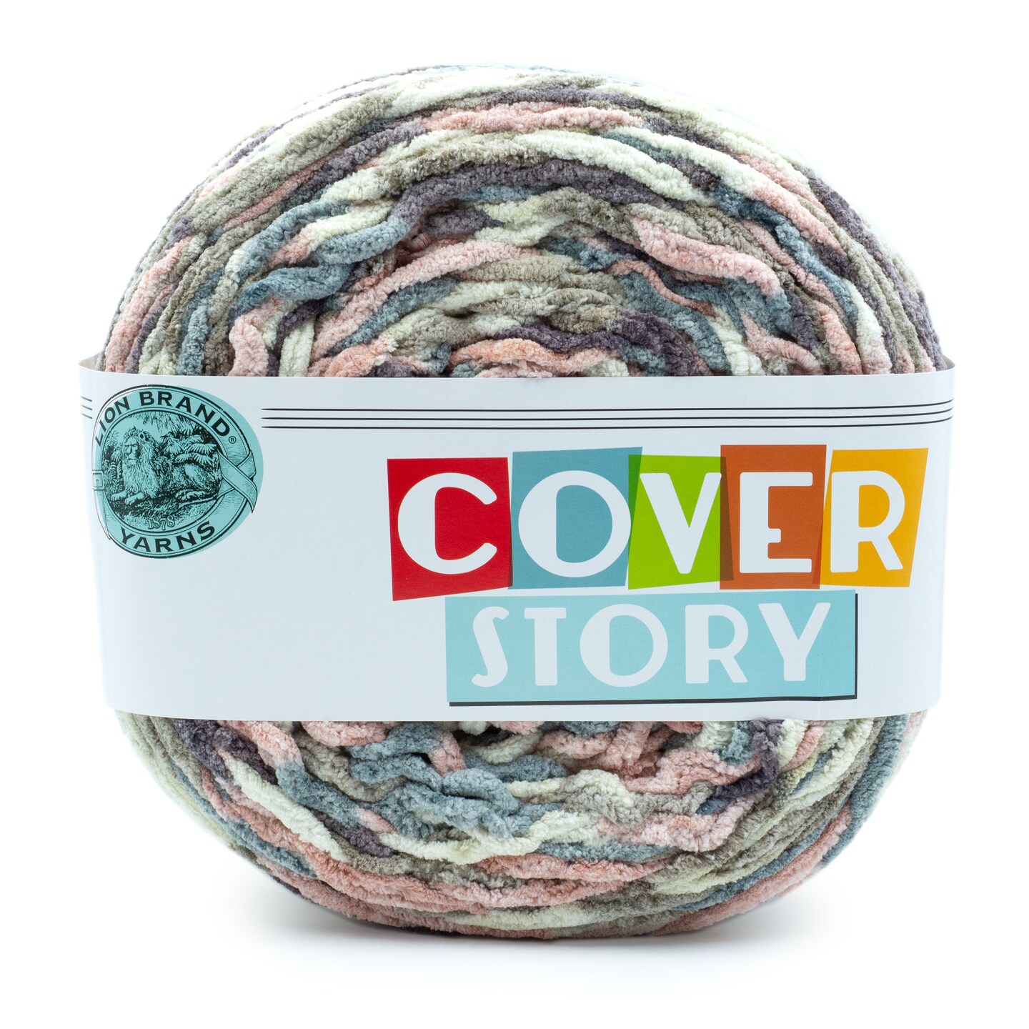 Lion Brand Yarn Cover Story Emery Super Bulky Polyester Multicolor Yarn 1 Cake