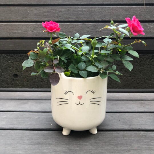 Cat Planter Pot for Succulents | Cute Planter | Planter Pot | Succulent  Planter | Animal Planter | Cat Lover Gifts | MakerPlace by Michaels