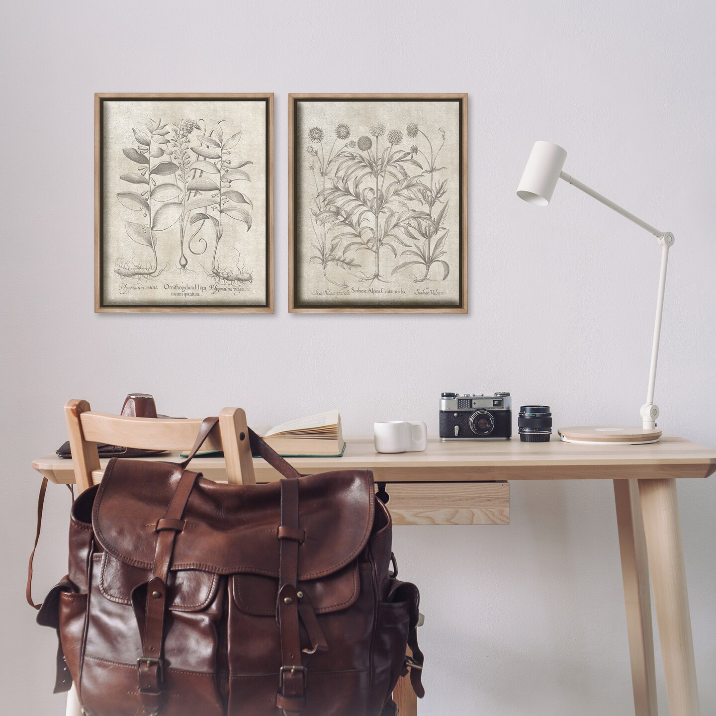 Stupell Industries Soft Botanical Study 2 pc Framed Floater Canvas Wall Art Set Design by Lettered and Lined