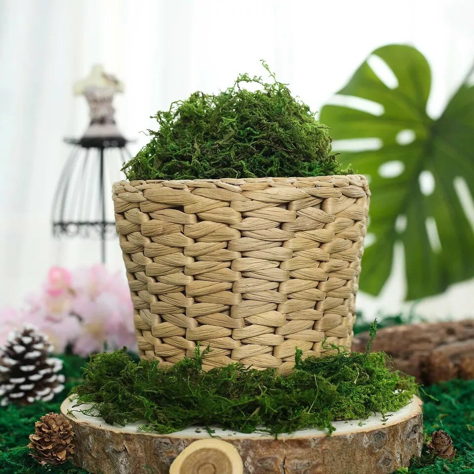 50 grams Green Natural Reindeer Moss Vase Fillers Wedding Party Decorations
