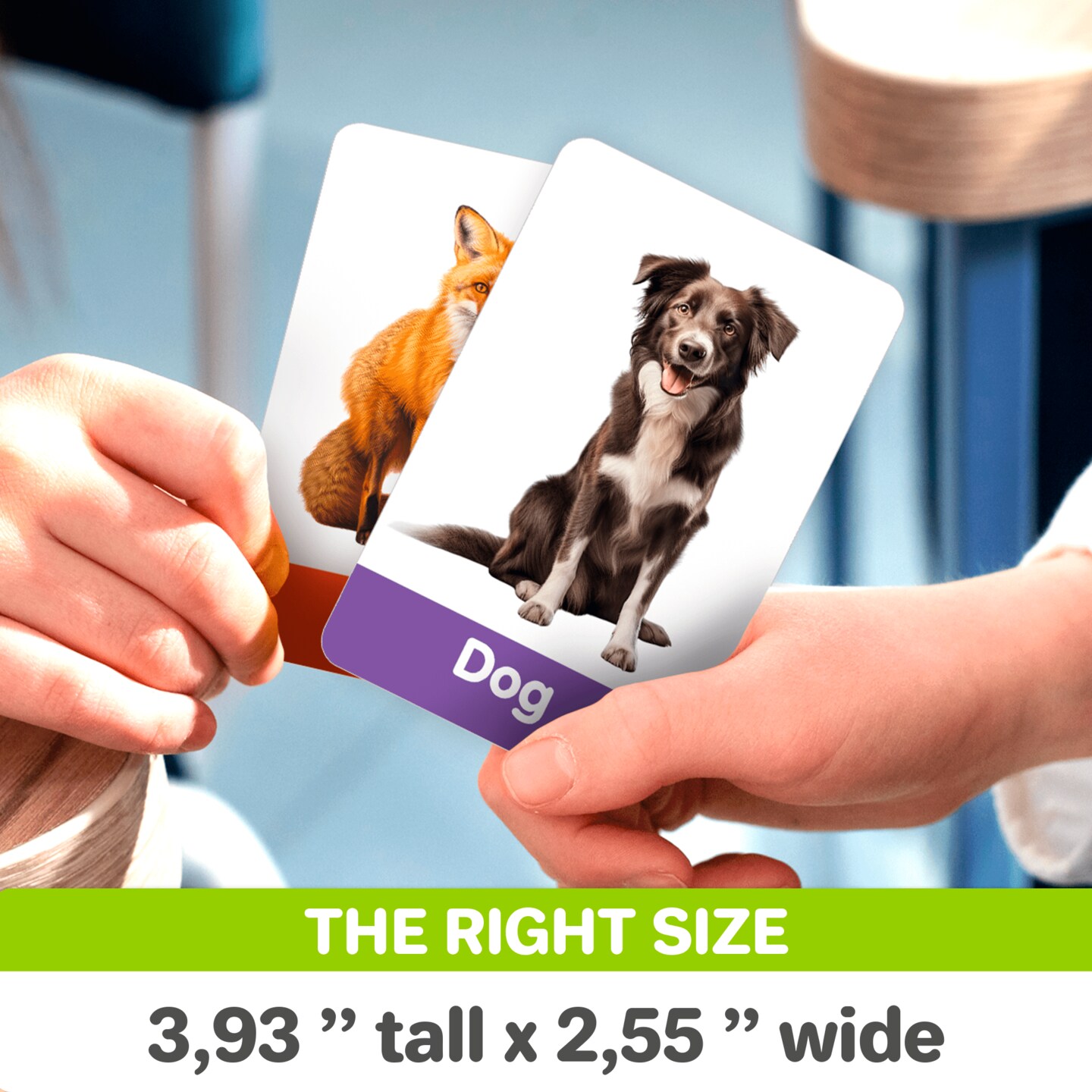 60 Realistic Learning Flash Cards for Kids | ABC, Numbers &#x26; Animals