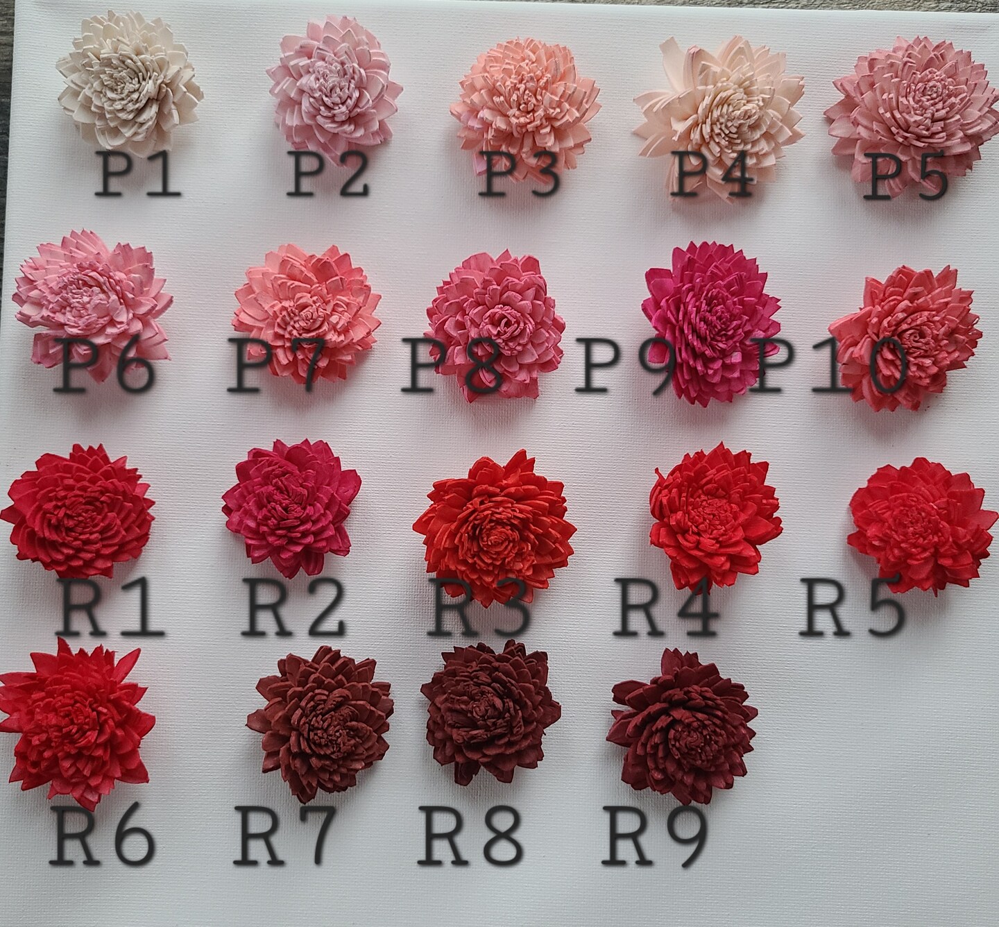 Sola Wood Flower Sample Pack | MakerPlace by Michaels