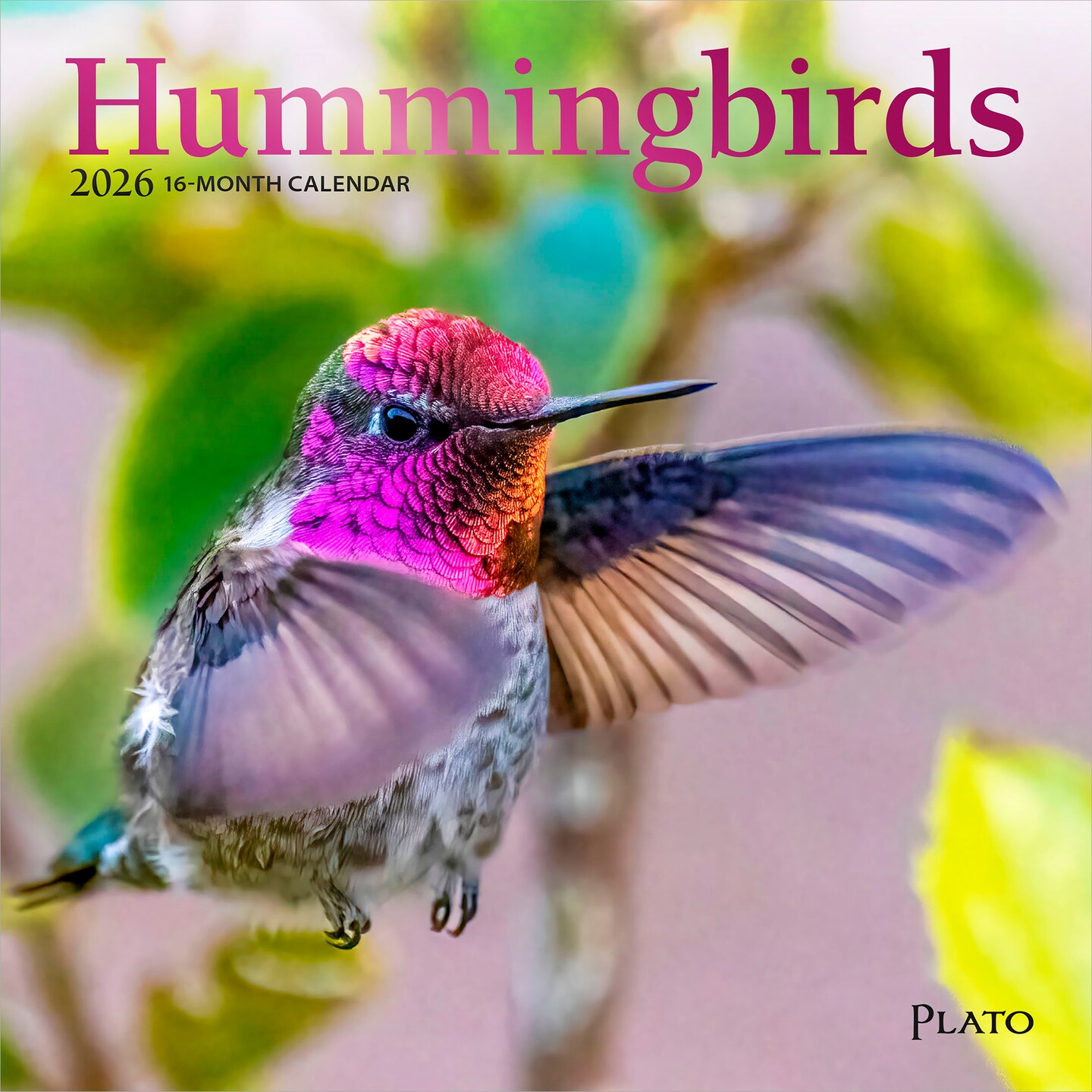 Hummingbirds | 2026 7 x 14 Inch (Hanging) Monthly Mini Wall Calendar | Foil Stamped Cover