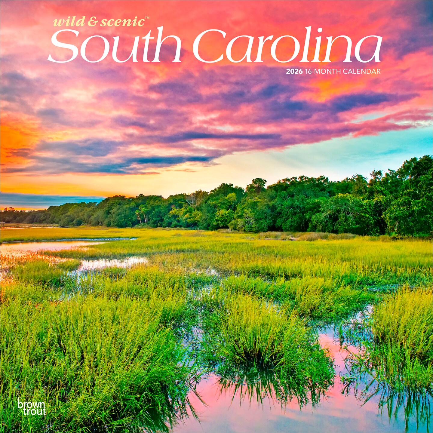 South Carolina Wild & Scenic | 2026 12 x 24 Inch (Hanging) Monthly Square Wall Calendar | Plastic-Free