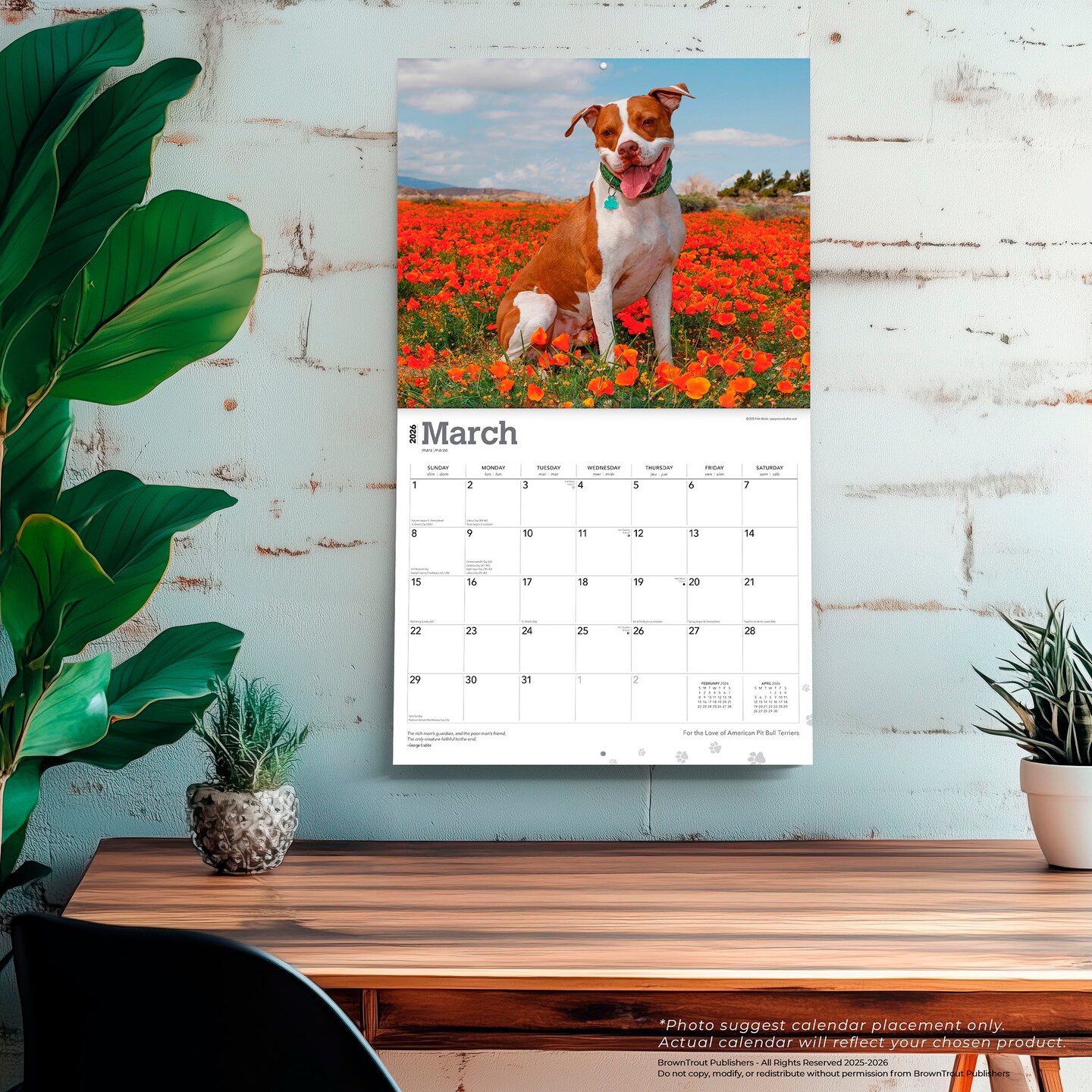 American Pit Bull Terriers | 2026 14 x 24 Inch (Hanging) Monthly Deluxe Wall Calendar | Plastic-Free