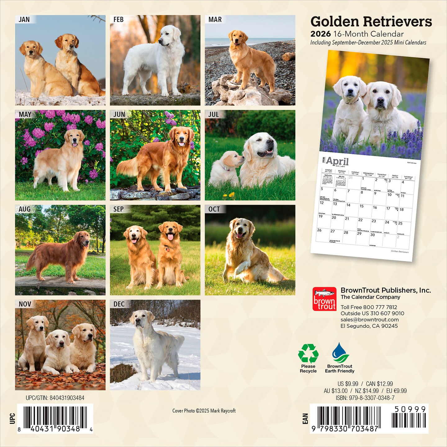 Golden Retrievers | 2026 7 x 14 Inch (Hanging) Monthly Mini Wall Calendar