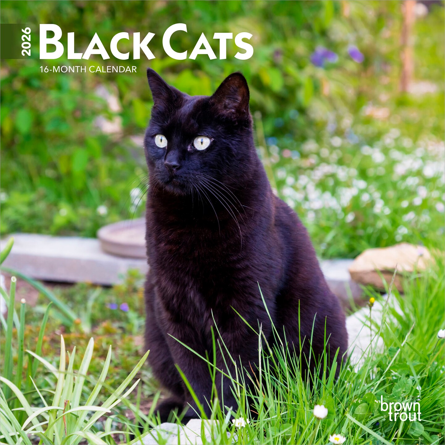 Black Cats | 2026 7 x 14 Inch (Hanging) Monthly Mini Wall Calendar
