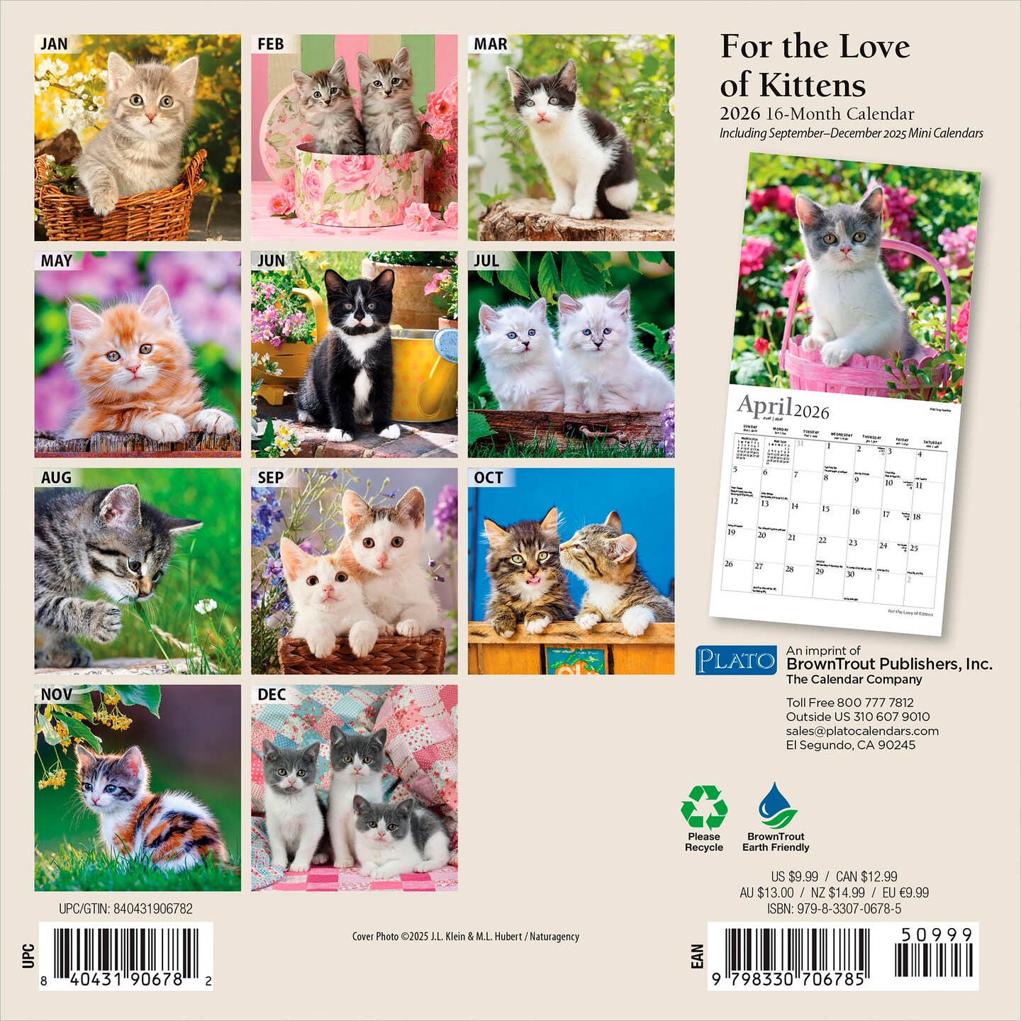 For the Love of Kittens | 2026 7 x 14 Inch (Hanging) Monthly Mini Wall Calendar | Foil Stamped Cover