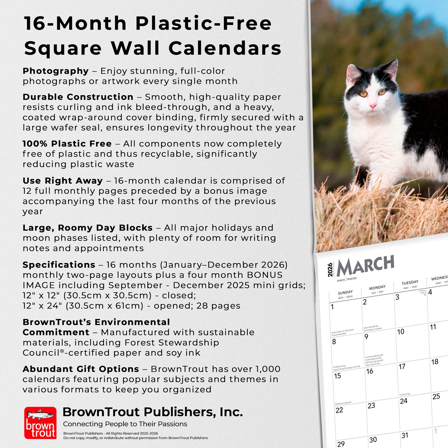 Tuxedo Cats | 2026 12 x 24 Inch (Hanging) Monthly Square Wall Calendar | Plastic-Free