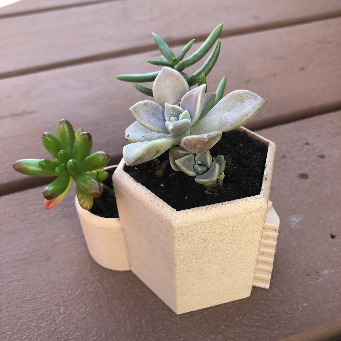 M✧succulent ·͜· ︎︎ᕷ Amazon.com: MyGift Artificial Succulent Centerpiece,15.75