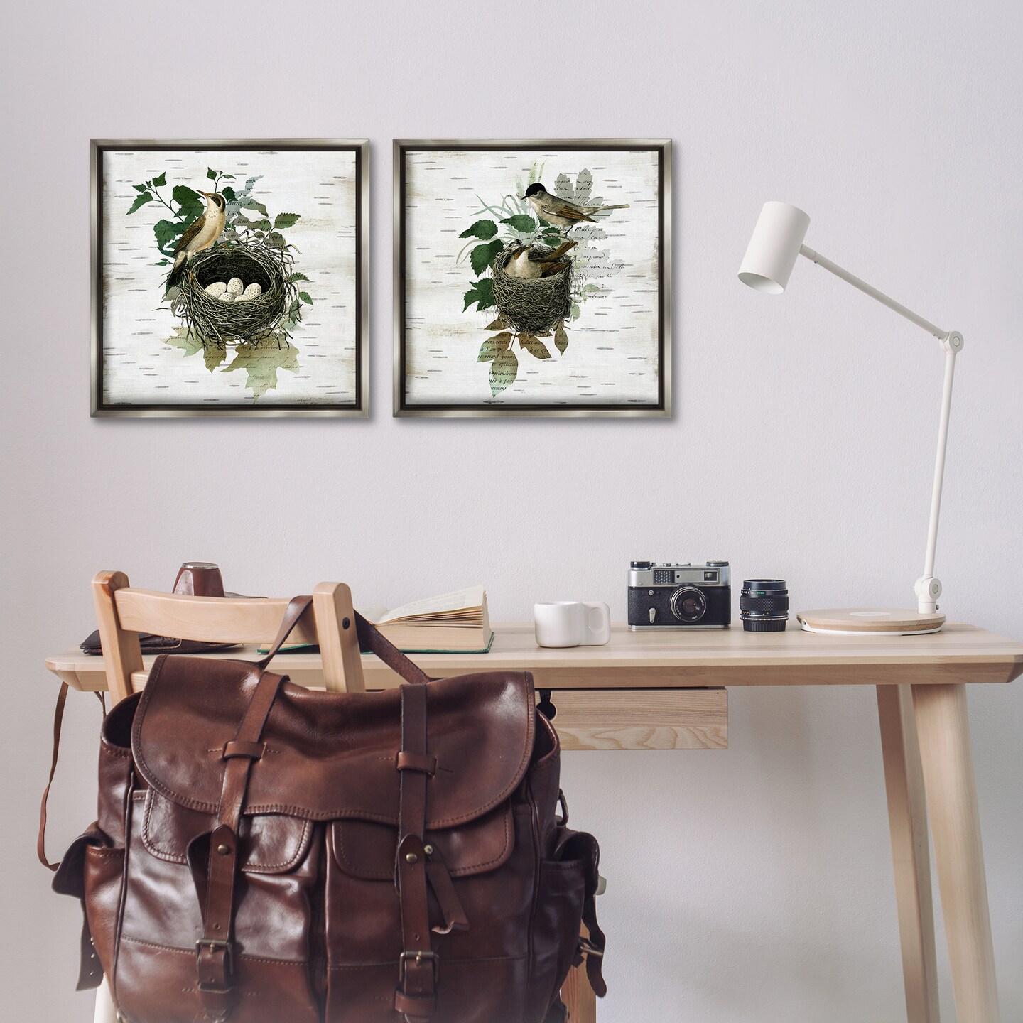 Stupell Industries Rustic Vintage Bird Nests 2pc Floating Frame Set Design by Susan Arnot