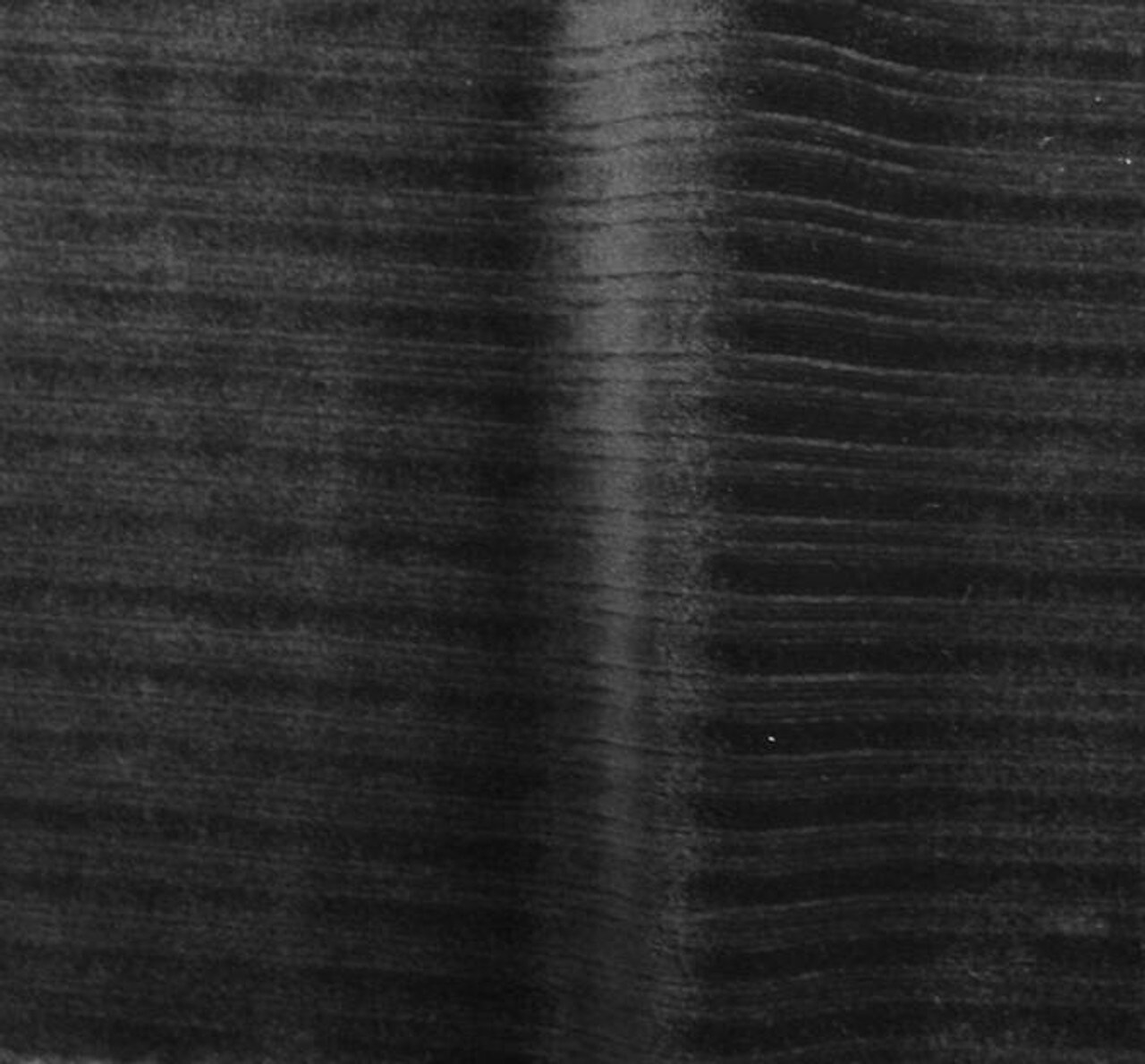 1 Yard Black Steam Velour Drop Needle Fabric 8x3 Soft Stretch Knit 58/60" Wide for Apparel
