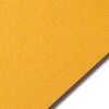 Colorplan CITRINE - 12.5" x 19" - 100 Lb. / 270 Gsm Matte Premium Cardstock Paper Cover Sheet - 50 Sheets