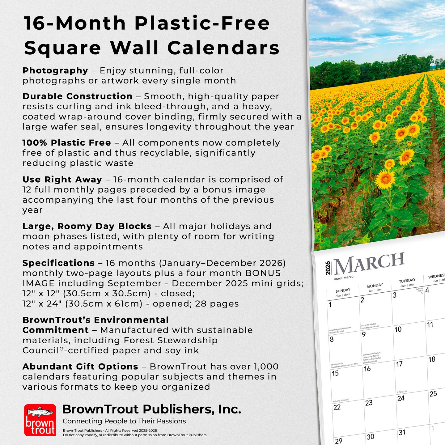 Sunflowers | 2026 12 x 24 Inch (Hanging) Monthly Square Wall Calendar | Plastic-Free