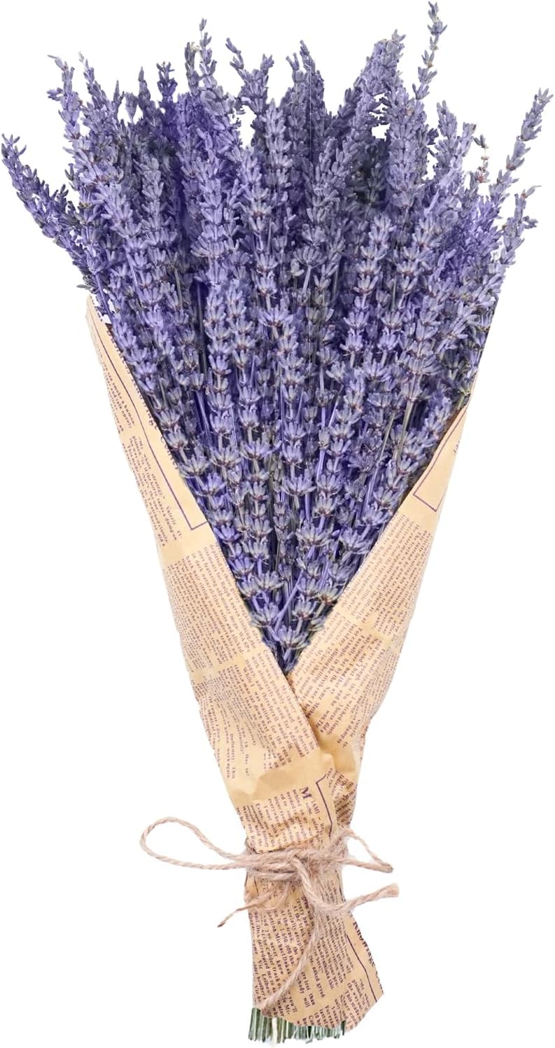 Dried Lavender Bundles, Natural Dried Lavender Flowers 150 Stems 15-17&#x22; for Shower Home Fragrance Weeding Crafts Decorr